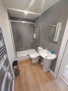 a bathroom with a toilet and a shower and a sink at Stunning Village Centre Holiday Home in Callander