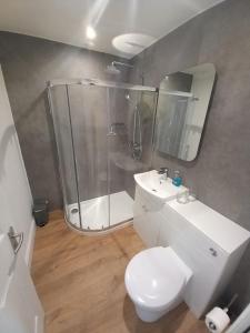 a bathroom with a shower and a toilet and a sink at Stunning Village Centre Holiday Home in Callander