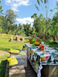 BLT Residence - Kasese A serene and tranquil home外面的花园