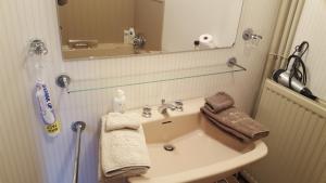 W łazience znajduje się umywalka i lustro. w obiekcie B&B Le Moulin de Resteigne w mieście Resteigne
