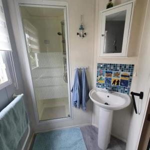 La salle de bains blanche est pourvue d'un lavabo et d'une douche. dans l'établissement Pet friendly family caravan with secure private garden, à Patrington