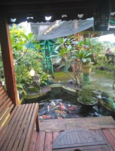 un estanque koi en un jardín con un banco en Villa Bamboo Bujak Permai, en Praya