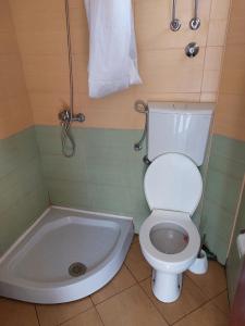 a bathroom with a toilet and a bath tub at Apartmani Ksenija in Bar