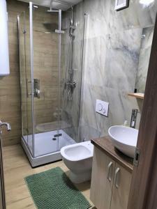 uma casa de banho com um chuveiro, um WC e um lavatório. em Apartament Ary em Borşa
