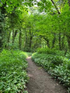 a dirt trail in a forest with trees and plants at The Hayloft in Hereford