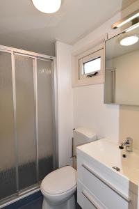 een badkamer met een toilet, een wastafel en een douche bij Chalet Zeester J38 Ameland in Buren