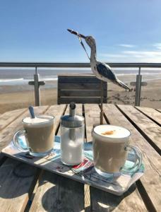 a bird standing on a picnic table with a tray of coffee at El Sea House in Chapel Saint Leonards
