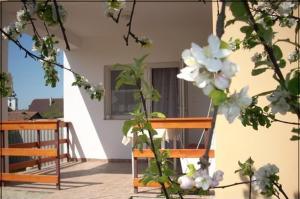 a porch with two benches and white flowers at Abádi Karmazsin ház in Abádszalók +8 photos