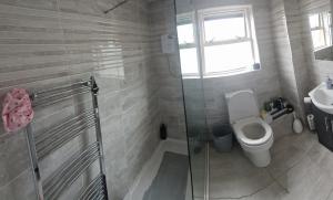 La salle de bains est pourvue d'une douche, de toilettes et d'un lavabo. dans l'établissement Cierons château, à Derry Londonderry