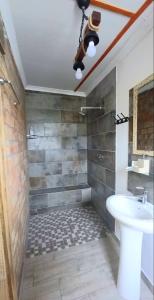 a bathroom with a sink and a toilet and a shower at Revive Self catering unit in Darling