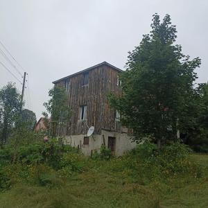 stary drewniany budynek z drzewem na polu w obiekcie Hıdırnebi Yayla Evi w mieście Akcaabat