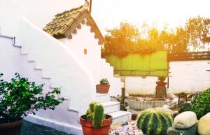un pequeño jardín con cactus y una casa blanca en Marco Polo's Mooring Cozy Navy House, en Anavyssos