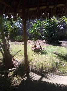a view of a garden with a palm tree at Moringa Garden Cottage in Mtwapa