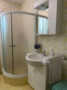 a bathroom with a sink and a shower at Muzur Apartment in Sarajevo +17 photos