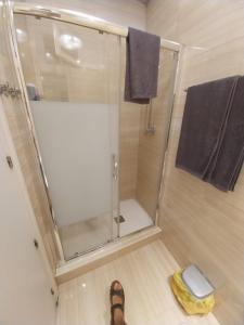 a person standing in front of a shower in a bathroom at Céntrico apartamento con patio in Madrid