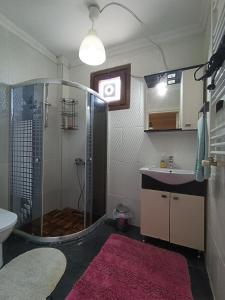 a bathroom with a shower with a sink and a toilet at Villa Telpher in Sapanca