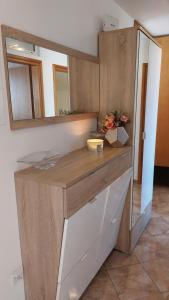 Kuchyň nebo kuchyňský kout v ubytování Mislav Apartment
