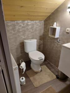 La petite salle de bains est pourvue de toilettes et d'un lavabo. dans l'établissement Baloe, à Manderfeld