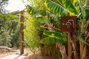 Zahrada ubytování Nômade Melides Eco Lodge