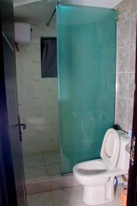 La salle de bains est pourvue de toilettes et d'une cabine de douche en verre. dans l'établissement NO 95 SUITES VI, à Lagos