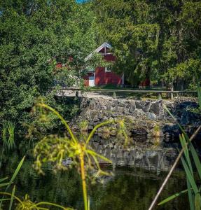 a pond with a stone wall and a house in the background at Koselig hytte langs elven in Skien
