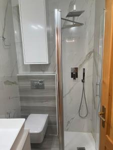 a bathroom with a shower and a toilet and a sink at Il Covo House in Roccaraso