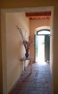 - un couloir avec une table et une plante dans l'établissement Casa Garibaldi, à Lucques