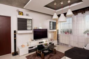 a living room with a television and a couch at OrangeHomes One bedroom apartment with fireplace in Budapest