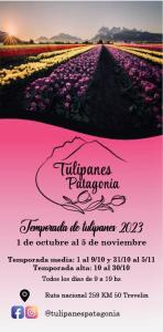Un folleto para un festival de tulipanes con un campo de flores en Patagonia en Trevelín