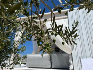 a tree with green olives on a window sill at BUQEZ ECO RESORT - Beach Villas 2 and 8 - Seaview, new wifi! in Drage