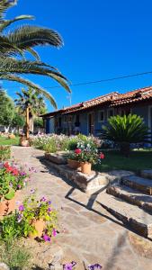 a garden with flowers and plants in front of a house at Gregory's Village in Platy