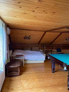 um quarto com uma mesa de bilhar e uma cama em Карпатська Модрина em Kosiv