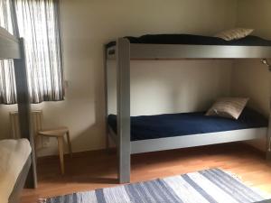 a bedroom with two bunk beds and a rug at Fjällgården Grövelsjön Vandrarhemsrum Töfsingdalen in Idre