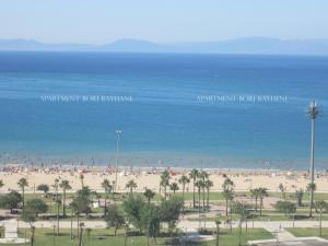 uma vista para uma praia com palmeiras e para o oceano em Apartment Borj Rayhane em Tânger