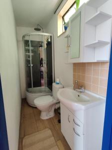 a bathroom with a toilet and a sink at Mały Domeczek in Sulęczyno