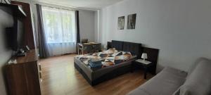 a living room with a couch and a window at Apartament Skwer Kosciuszki Morze in Gdynia