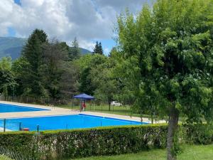 una gran piscina en un patio con un árbol en Villa Champagne, en Champagne-en-Valromey