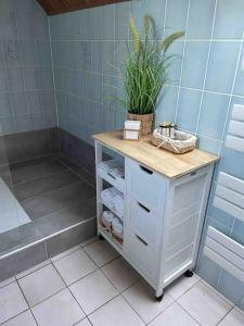 a bathroom with a table with a plant on it at Grosses 2 Zi-DG in grüner Idylle! in Bliestorf