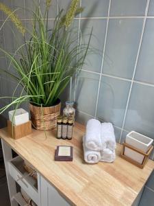 a wooden counter top with towels and a plant at Grosses 2 Zi-DG in grüner Idylle! in Bliestorf