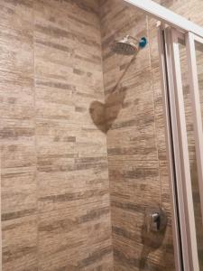 doccia con porta in vetro e doccia di Princeville Guest Lodge a Soweto