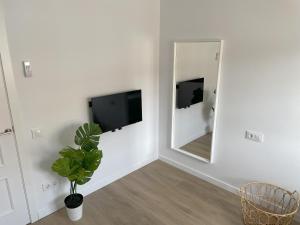 a white room with a mirror and a potted plant at Estudio al lado de la playa in Calafell