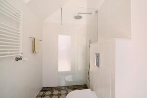 a white bathroom with a shower and a toilet at Casa Rosa in São Brás de Alportel +26 photos