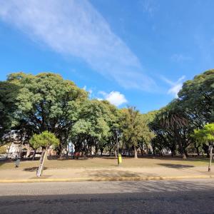 un parque con muchos árboles y una carretera en Luminoso Monoambiente en La Plata