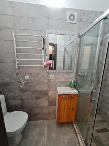 a bathroom with a toilet and a shower and a sink at Студіо Личаківська 19 in Lviv