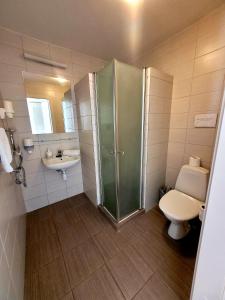 a bathroom with a shower and a toilet and a sink at Hotel Pajurio vieskelis in Klaipėda