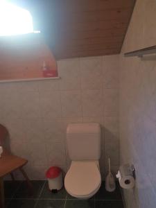 La salle de bains est pourvue de toilettes blanches. dans l'établissement Dachwohnung Unterem Hoereli, à Vals