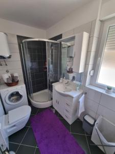 ein Bad mit einem Waschbecken, einem WC und einer Dusche in der Unterkunft Drago Apartman in Šibenik