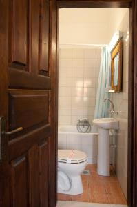 a bathroom with a toilet and a sink at Vergoula's Mansion in Kastoria