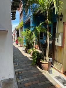 喬治市的住宿－Aayu Stewart，一条种有棕榈树的街道和一座蓝色的建筑