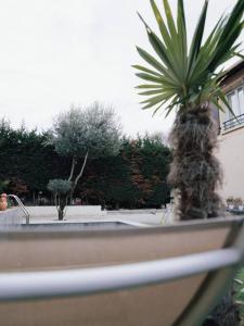 un palmier dans un pot à côté d'un évier dans l'établissement La Perle Rose ONLY WOMEN femmes uniquement, à Vénissieux